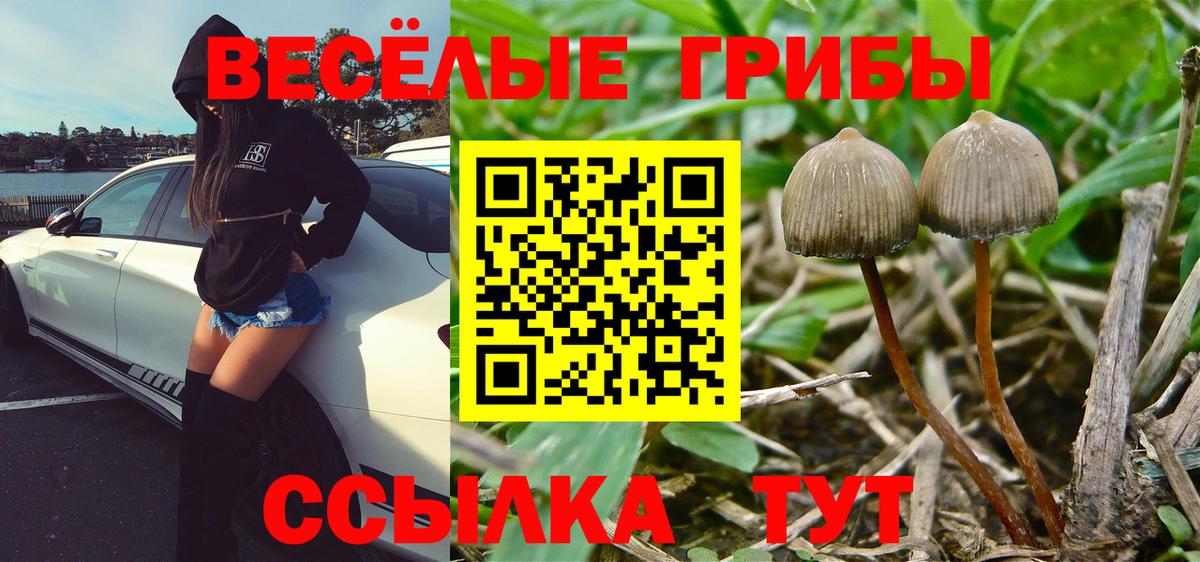 Псилоцибиновые грибы прущие грибы  Вход с VPN  Галлюциногенные грибы мицелий  Кызыл 